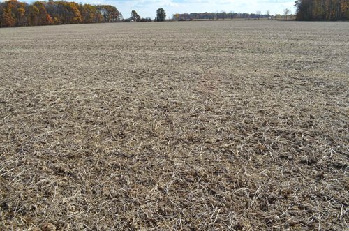 Property photo 6 - 75.3 Acres Offered in 2 Tracts